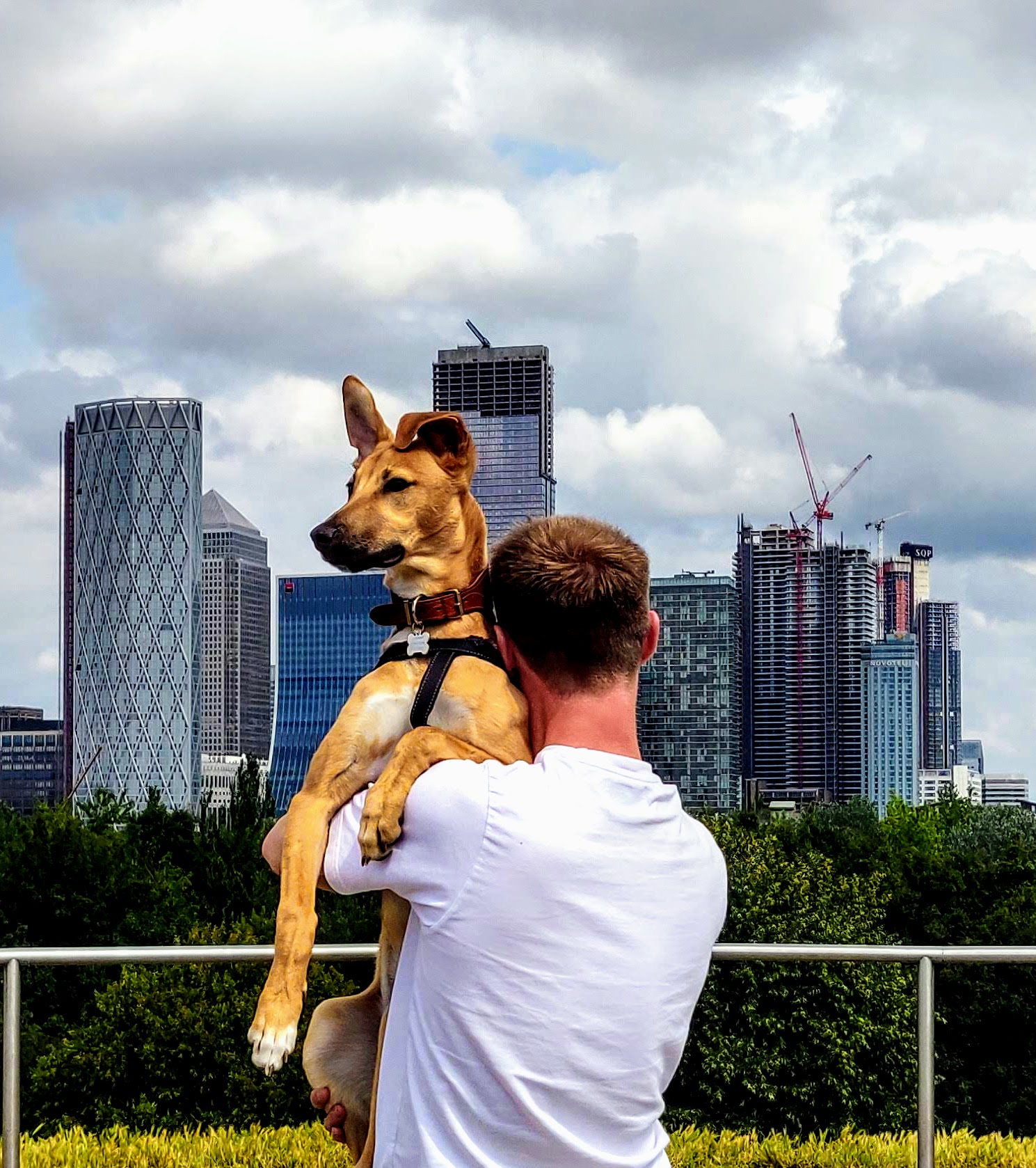 Simon, founder of Pawdex, with his dog Luna
